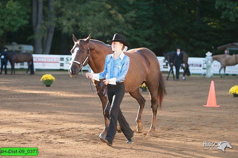 4H-Dist-09_0377.jpg