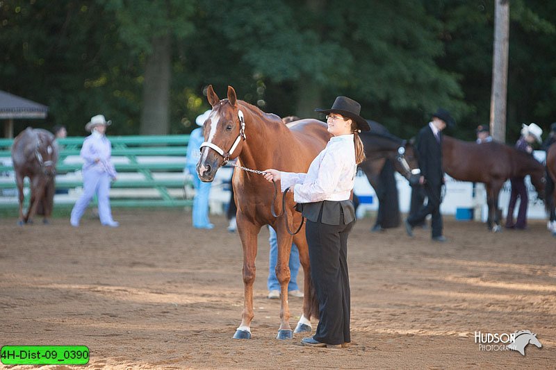 4H-Dist-09_0390.jpg