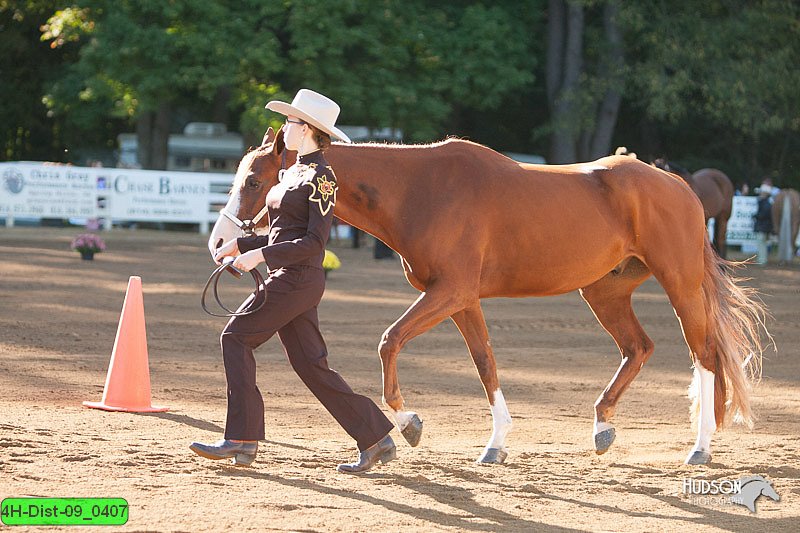 4H-Dist-09_0407.jpg