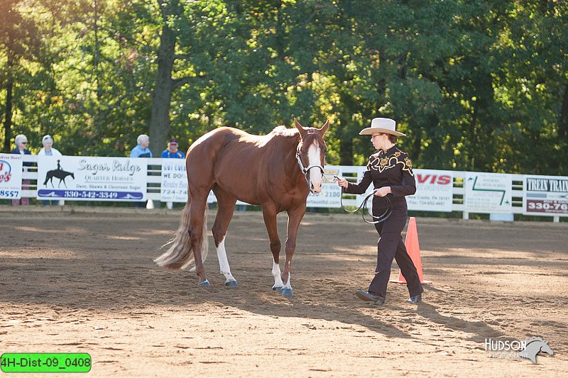 4H-Dist-09_0408.jpg