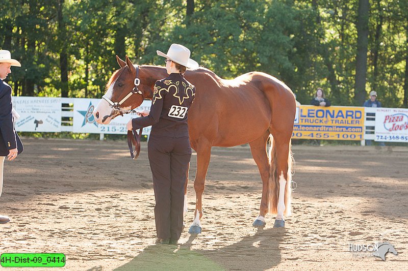 4H-Dist-09_0414.jpg