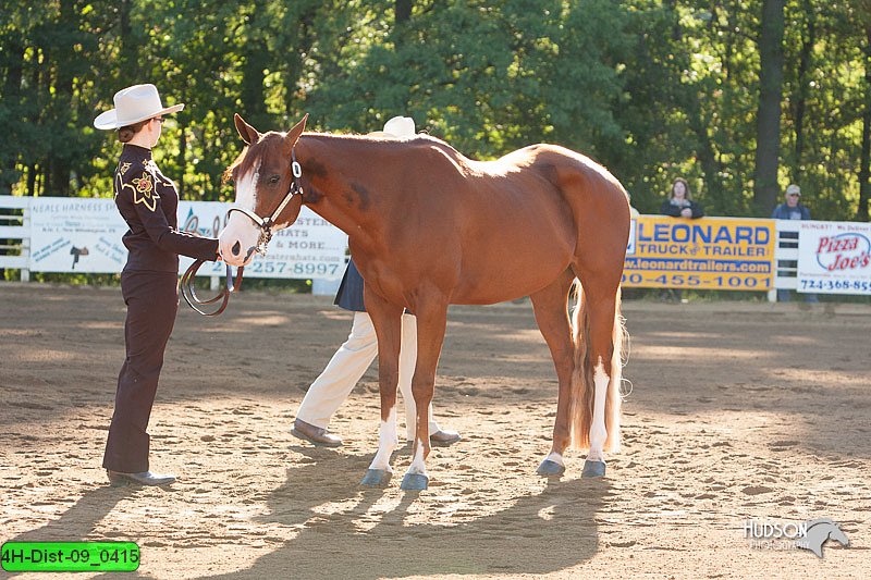 4H-Dist-09_0415.jpg