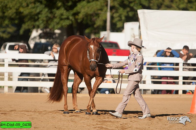 4H-Dist-09_0438.jpg