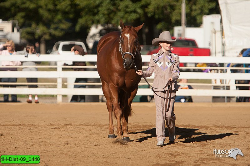 4H-Dist-09_0440.jpg