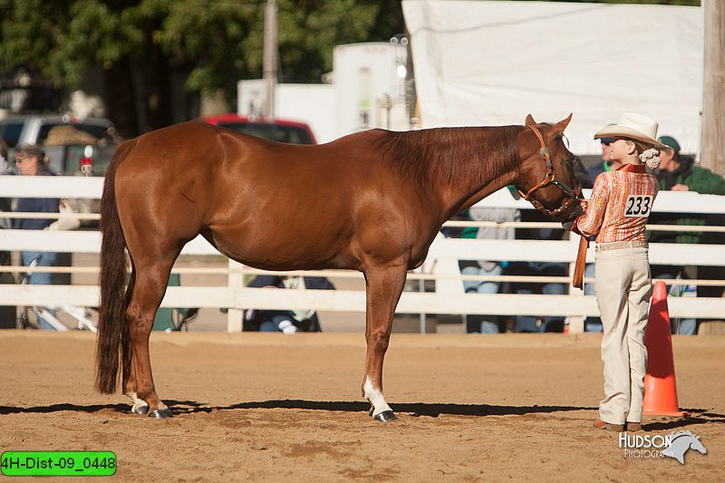 4H-Dist-09_0448.jpg