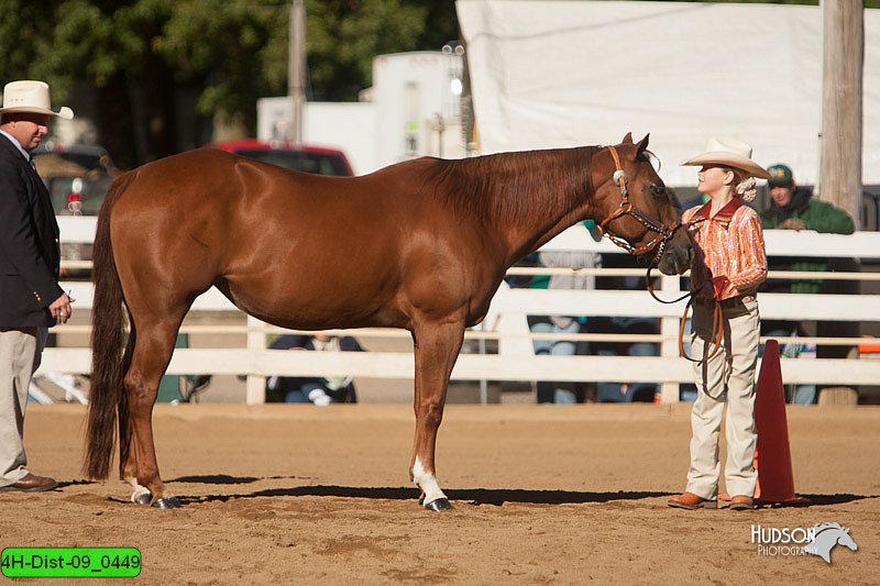 4H-Dist-09_0449.jpg
