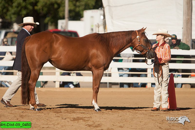 4H-Dist-09_0450.jpg
