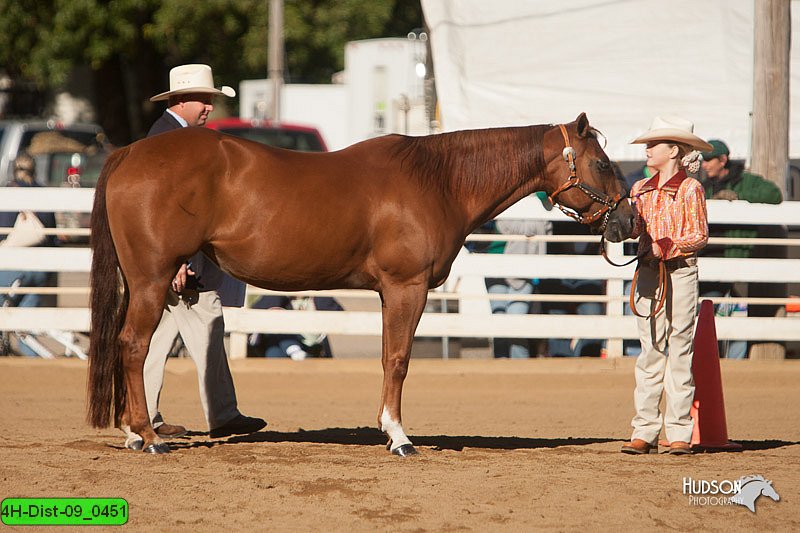 4H-Dist-09_0451.jpg