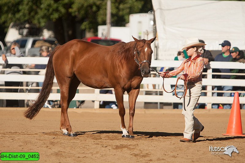 4H-Dist-09_0452.jpg