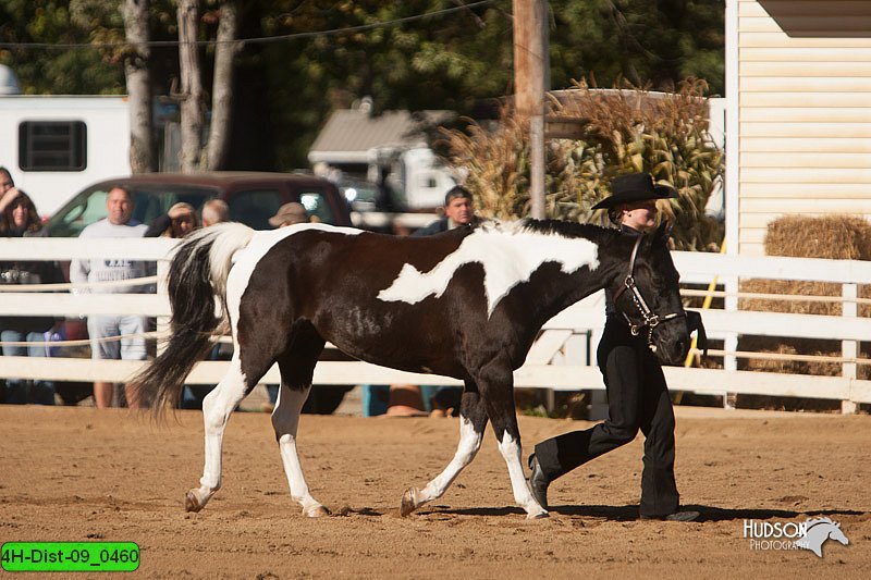 4H-Dist-09_0460.jpg