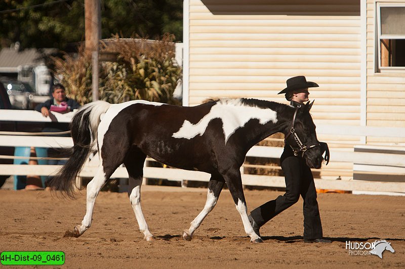 4H-Dist-09_0461.jpg