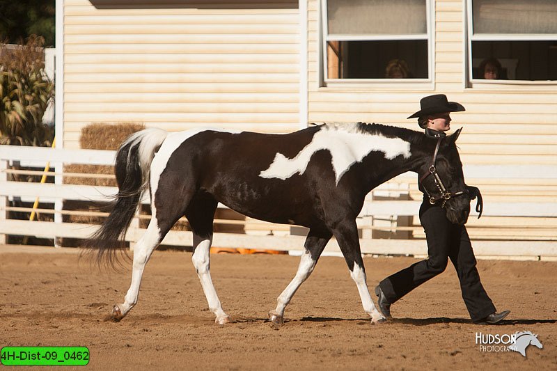 4H-Dist-09_0462.jpg