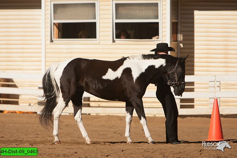4H-Dist-09_0463.jpg