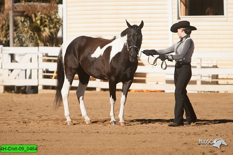 4H-Dist-09_0464.jpg