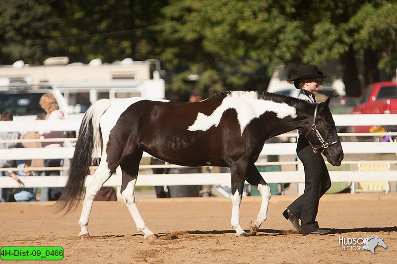 4H-Dist-09_0466.jpg