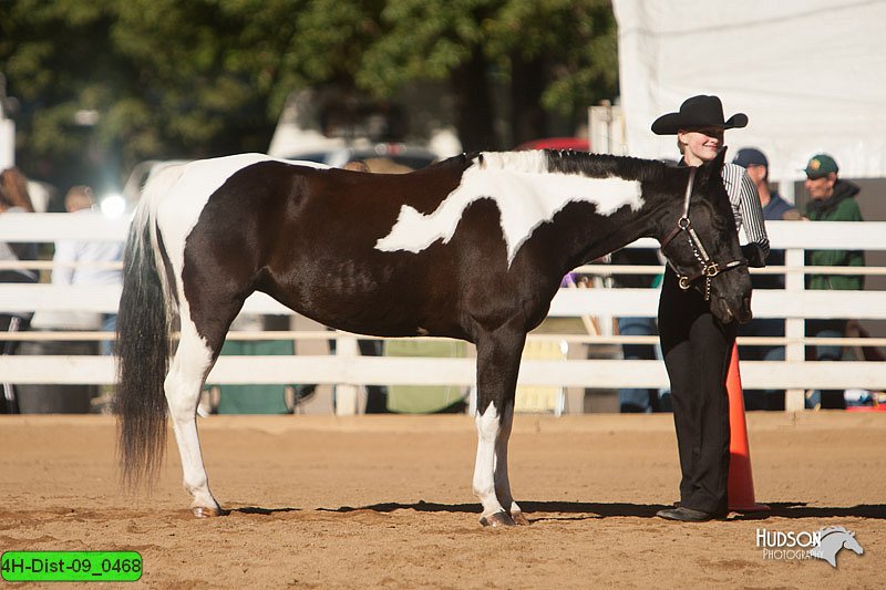 4H-Dist-09_0468.jpg