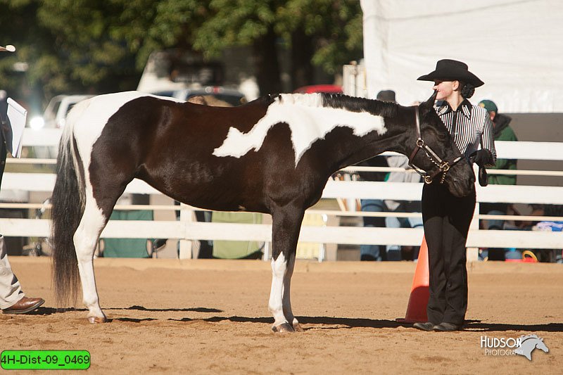 4H-Dist-09_0469.jpg
