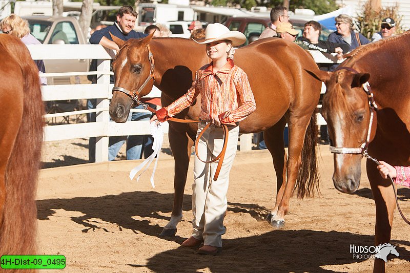 4H-Dist-09_0495.jpg