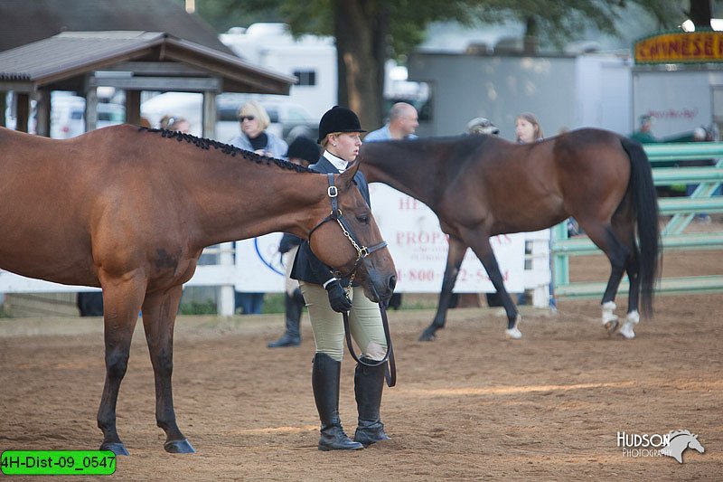 4H-Dist-09_0547.jpg