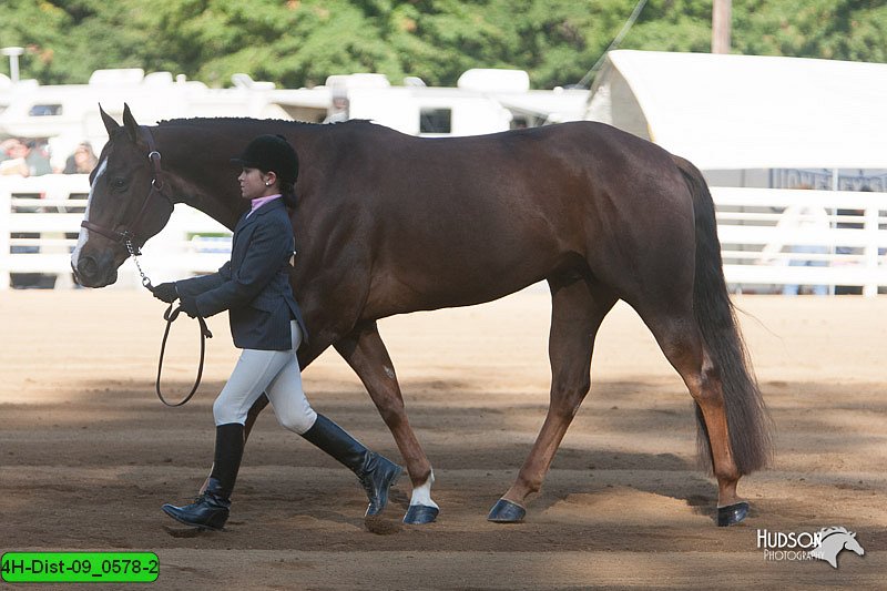 4H-Dist-09_0578-2.jpg