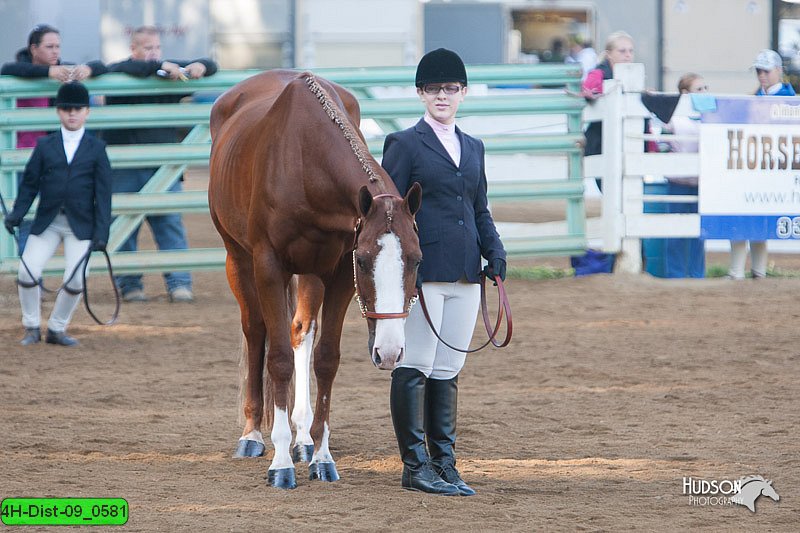 4H-Dist-09_0581.jpg