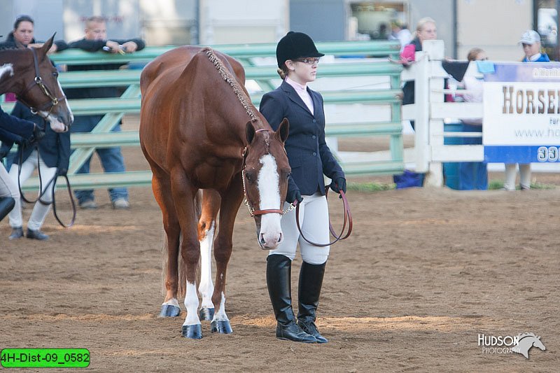 4H-Dist-09_0582.jpg