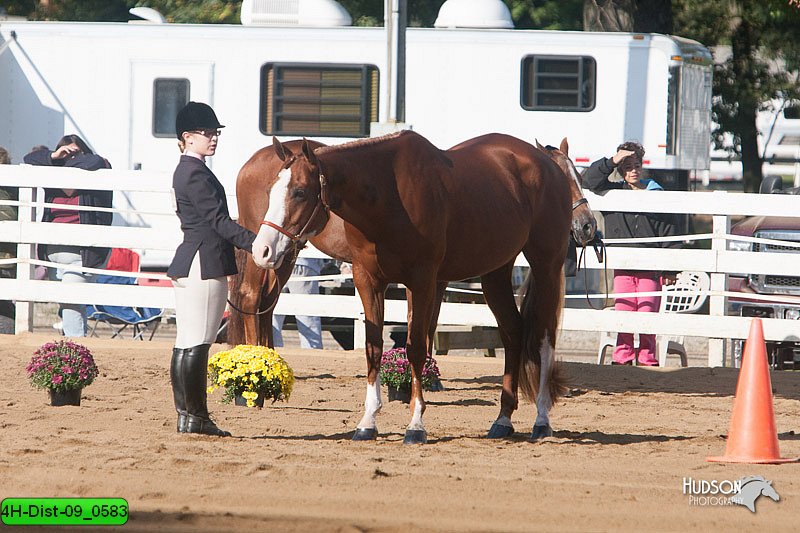 4H-Dist-09_0583.jpg