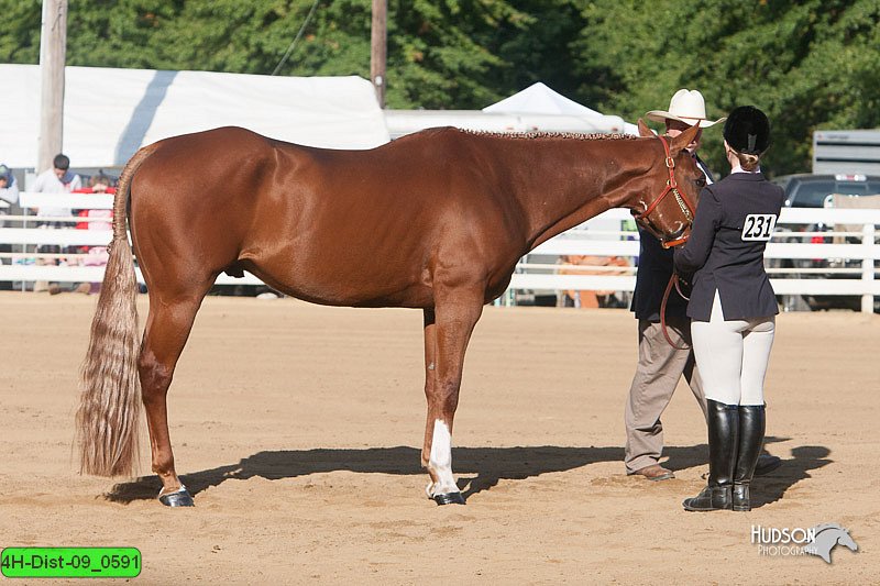 4H-Dist-09_0591.jpg