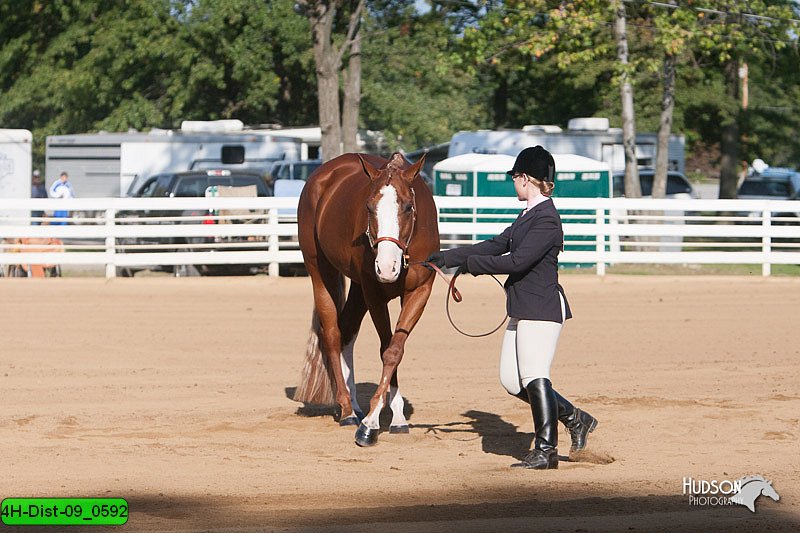 4H-Dist-09_0592.jpg