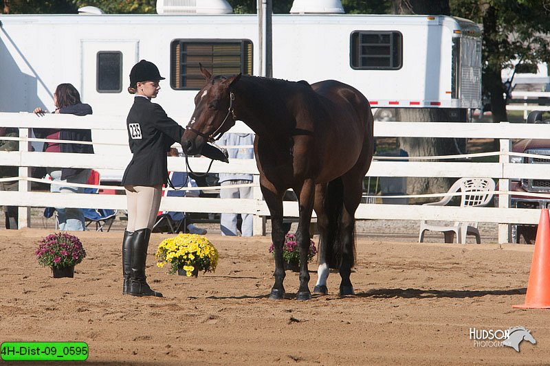 4H-Dist-09_0595.jpg