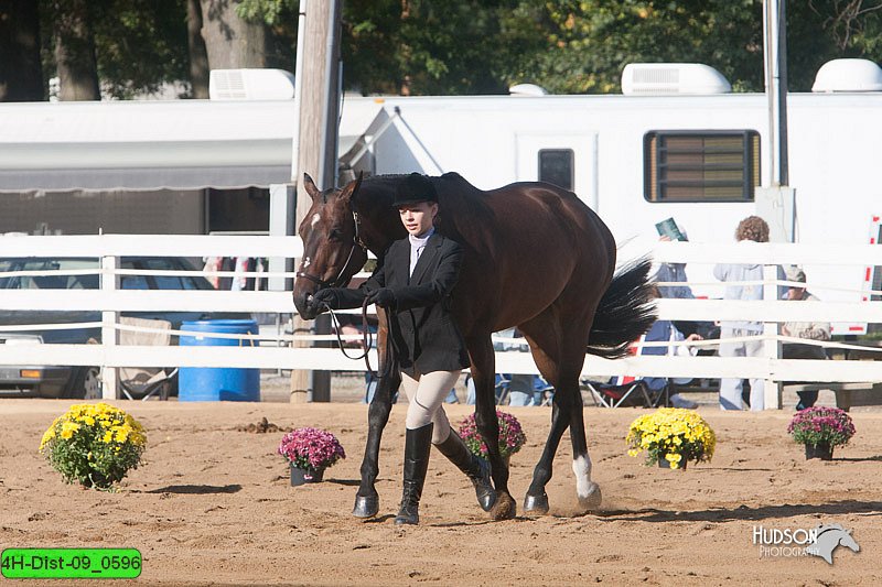 4H-Dist-09_0596.jpg