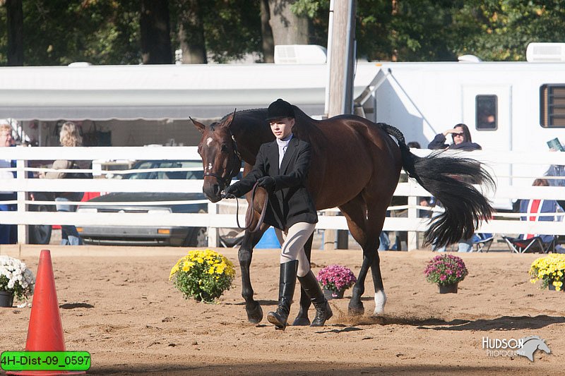 4H-Dist-09_0597.jpg