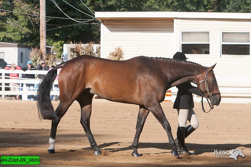 4H-Dist-09_0600.jpg
