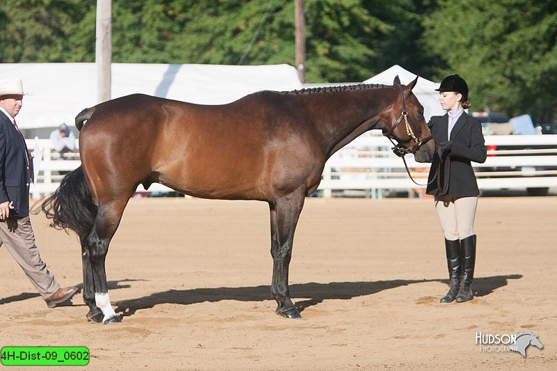 4H-Dist-09_0602.jpg