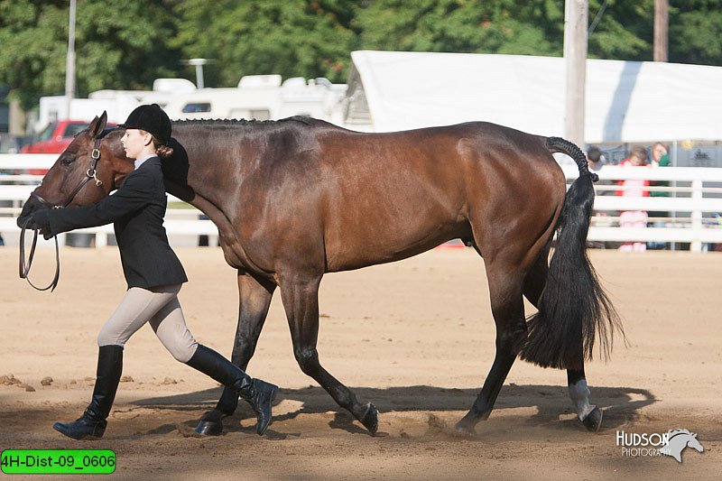 4H-Dist-09_0606.jpg