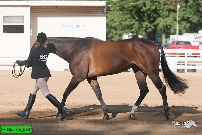 4H-Dist-09_0607.jpg