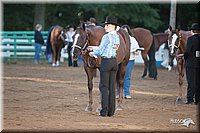 4H-Dist-09_0375.jpg