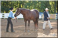 4H-Dist-09_0383.jpg