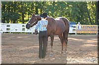 4H-Dist-09_0384.jpg