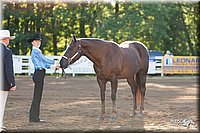 4H-Dist-09_0385.jpg
