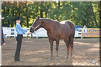 4H-Dist-09_0386.jpg