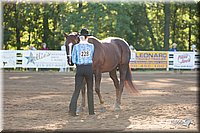 4H-Dist-09_0387.jpg