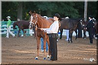 4H-Dist-09_0388.jpg