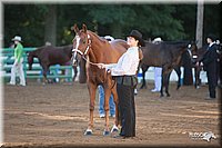 4H-Dist-09_0389.jpg