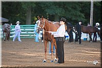 4H-Dist-09_0390.jpg