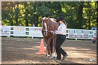 4H-Dist-09_0393.jpg