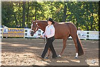 4H-Dist-09_0394.jpg