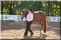 4H-Dist-09_0396.jpg