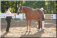 4H-Dist-09_0400.jpg