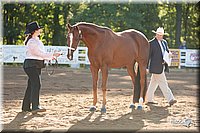 4H-Dist-09_0401.jpg